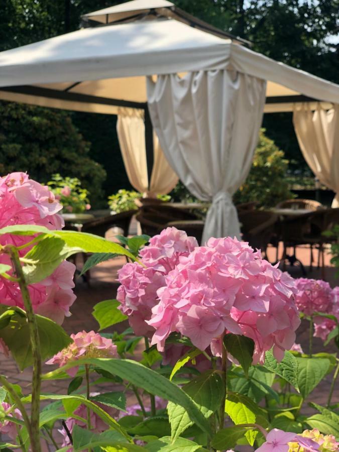 Rezydencja Willa Park & Restauracja 웨그니차 외부 사진